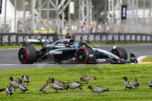 F1 Grand Prix of Australia