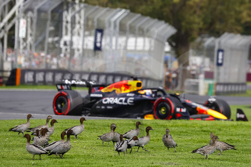F1 Grand Prix of Australia