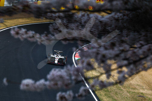 F1 Grand Prix of Japan
