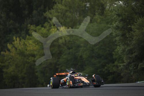 F1 Grand Prix of Hungary