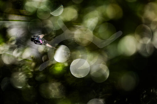 F1 Grand Prix of the Netherlands