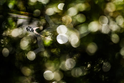 F1 Grand Prix of the Netherlands