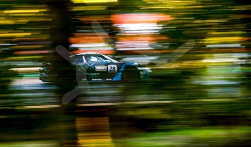 Porsche Mobil 1 Supercup, Monza 2025