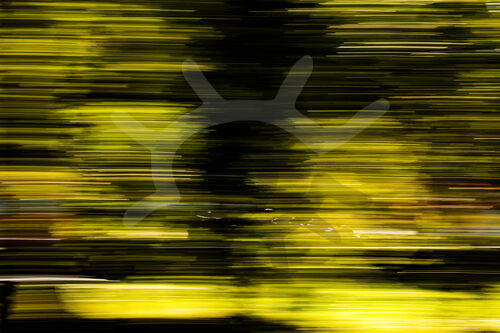 F1 Grand Prix of Italy