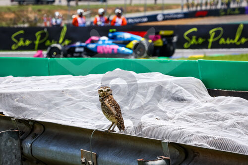 F1 Grand Prix of Brazil
