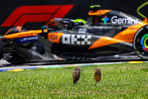 F1 Grand Prix of Brazil