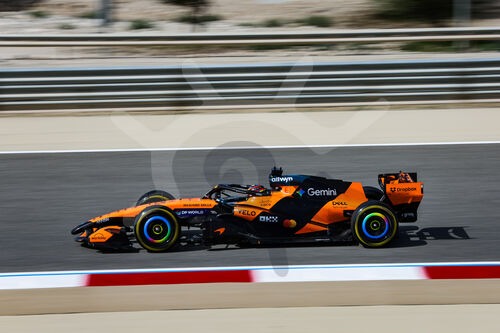 F1 Bahrain 2026, Test