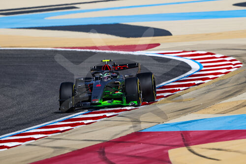 F1 Bahrain 2026, Test