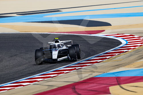 F1 Bahrain 2026, Test