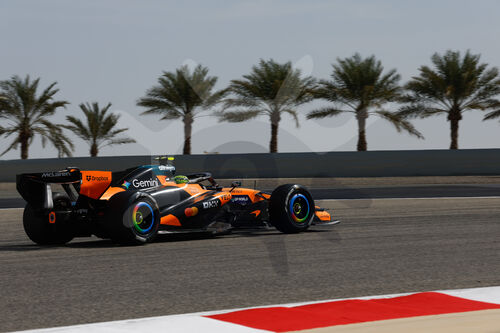 F1 Bahrain 2026, Test