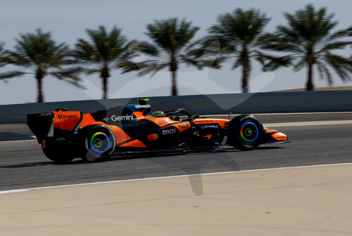 F1 Bahrain 2026, Test