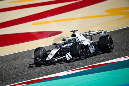 F1 Bahrain 2026, Test