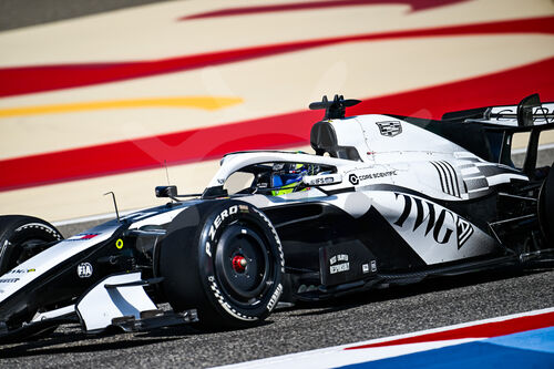 F1 Bahrain 2026, Test