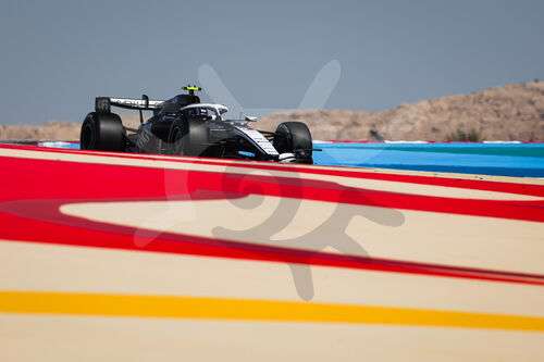 F1 Bahrain 2026, Test