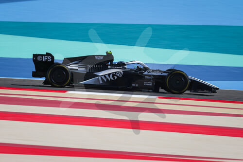 F1 Bahrain 2026, Test
