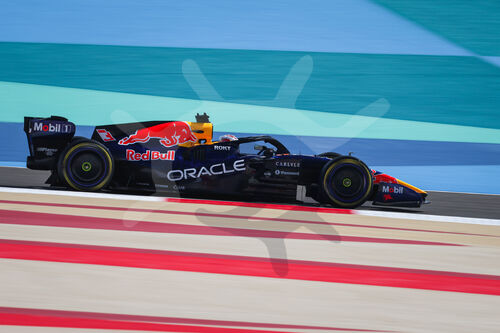 F1 Bahrain 2026, Test
