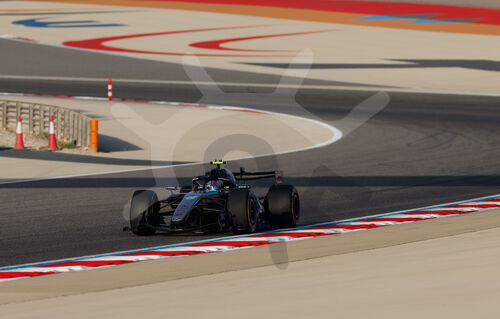 F1 Bahrain 2026, Test