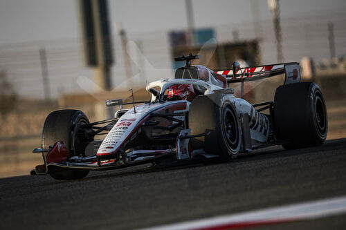 F1 Bahrain 2026, Test