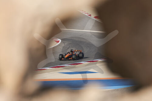F1 Bahrain 2026, Test