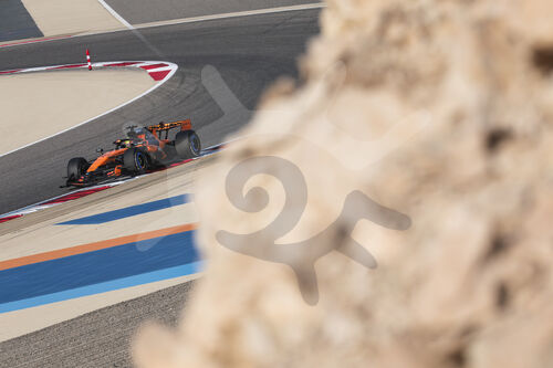F1 Bahrain 2026, Test