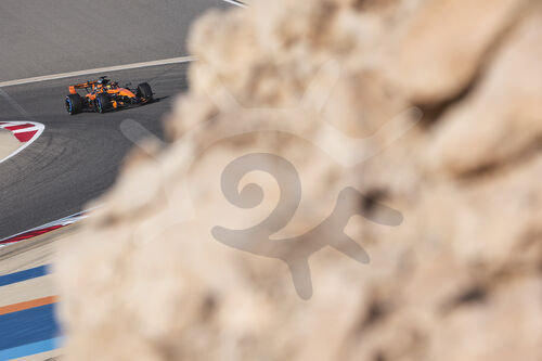 F1 Bahrain 2026, Test