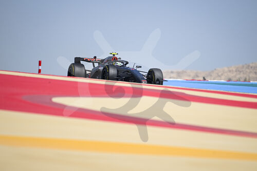 F1 Bahrain 2026, Test