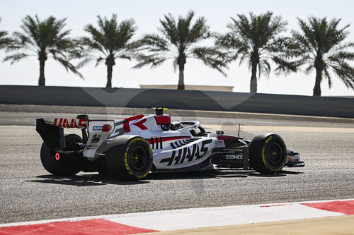 F1 Bahrain 2026, Test