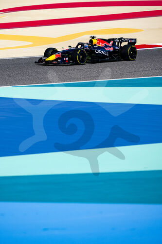 F1 Bahrain 2026, Test