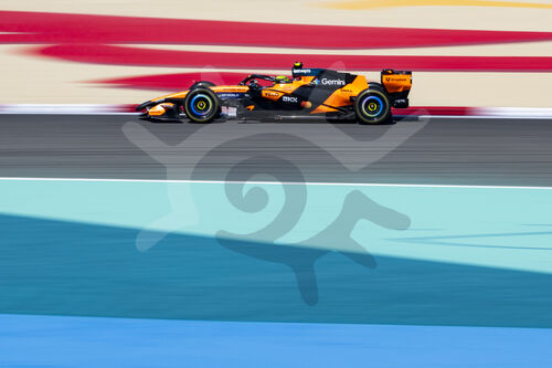 F1 Bahrain 2026, Test