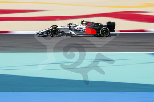 F1 Bahrain 2026, Test