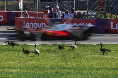 Montreal, Kanada 2026, F1 GP of Canada