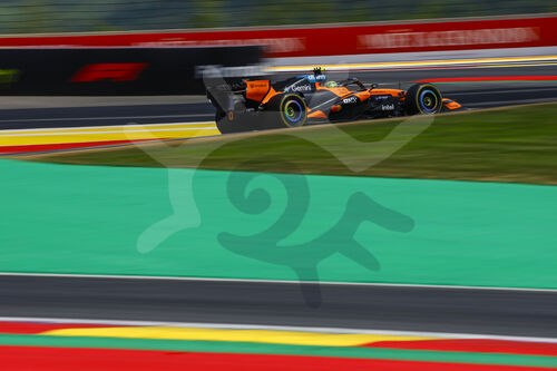 Motorsport: FIA Formula One World Championship,  Grand Prix of Belgium, Belgien, Spa Francorchamps, GP, 