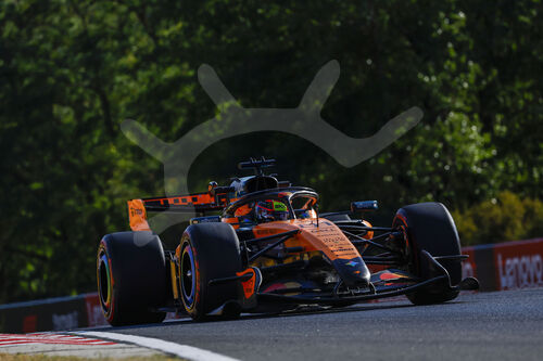 F1 GP Hungary 2026
