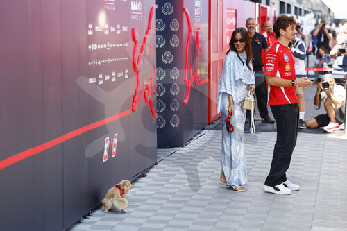 F1 GP Hungary 2026
