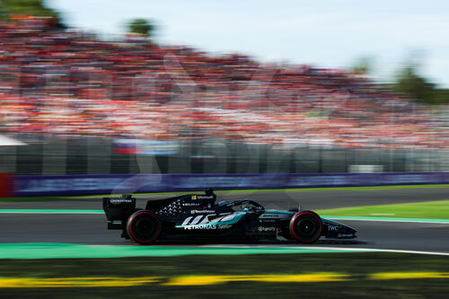 Motorsport: FIA Formula One World Championship,  Grand Prix of Italy, Autodromo Nationale Monza
