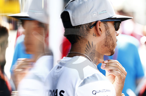 Motorsports: FIA Formula One World Championship 2016, Grand Prix of Austria
