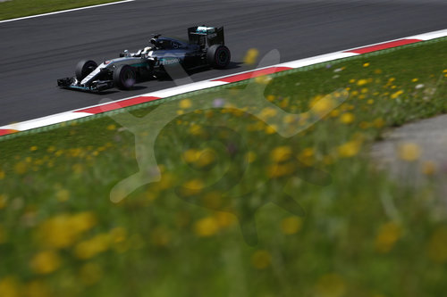 Motorsports: FIA Formula One World Championship 2016, Grand Prix of Austria