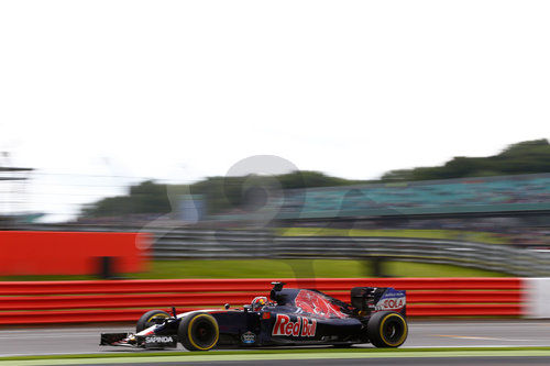 Motorsports: FIA Formula One World Championship 2016, Grand Prix of Great Britain