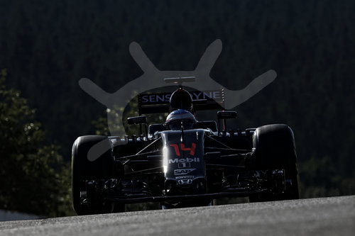 Motorsports: FIA Formula One World Championship 2016, Grand Prix of Belgium