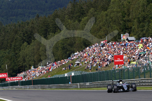Motorsports: FIA Formula One World Championship 2016, Grand Prix of Belgium