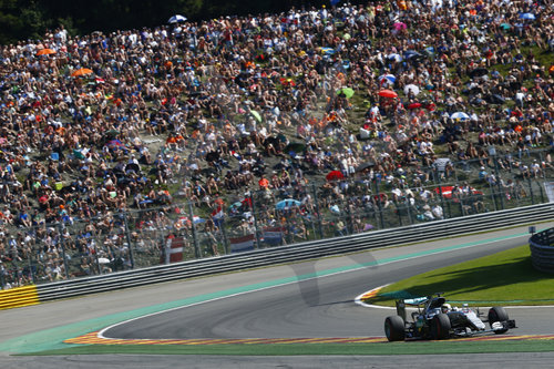 Motorsports: FIA Formula One World Championship 2016, Grand Prix of Belgium