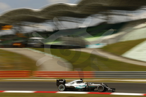 Motorsports: FIA Formula One World Championship 2016, Grand Prix of Malaysia