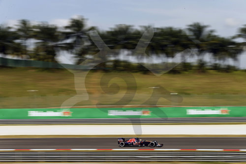 Motorsports: FIA Formula One World Championship 2016, Grand Prix of Malaysia