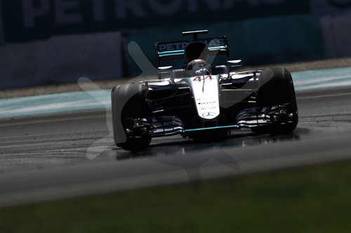 Motorsports: FIA Formula One World Championship 2016, Grand Prix of Malaysia