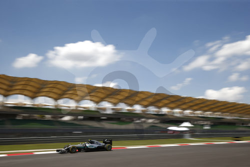 Motorsports: FIA Formula One World Championship 2016, Grand Prix of Malaysia