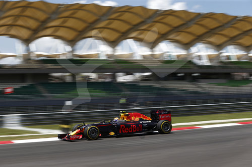 Motorsports: FIA Formula One World Championship 2016, Grand Prix of Malaysia