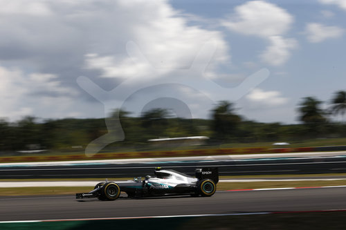 Motorsports: FIA Formula One World Championship 2016, Grand Prix of Malaysia