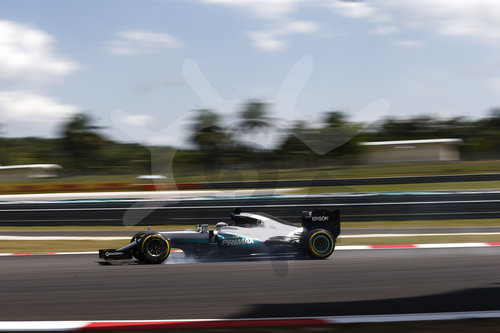 Motorsports: FIA Formula One World Championship 2016, Grand Prix of Malaysia