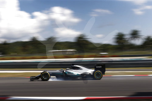 Motorsports: FIA Formula One World Championship 2016, Grand Prix of Malaysia