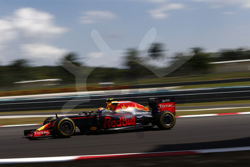 Motorsports: FIA Formula One World Championship 2016, Grand Prix of Malaysia